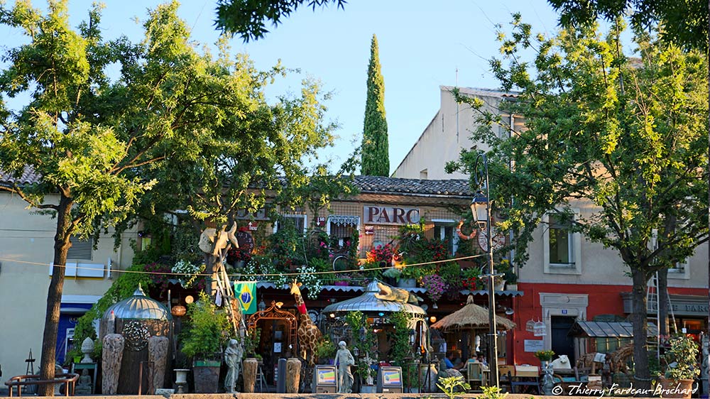 activité séminaire en Provence
